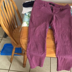 Torrid Jeggings; size 16R; great condition!
